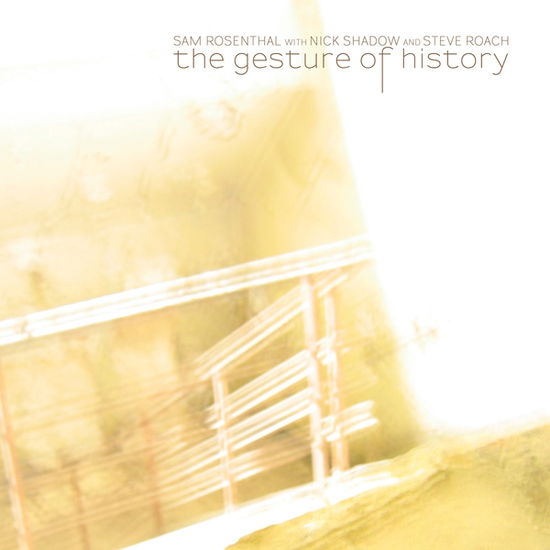 Cover for Sam Rosenthal &amp; Nick Shadow &amp; Steve Roach · The Gesture of History (LP) [Limited edition] (2021)