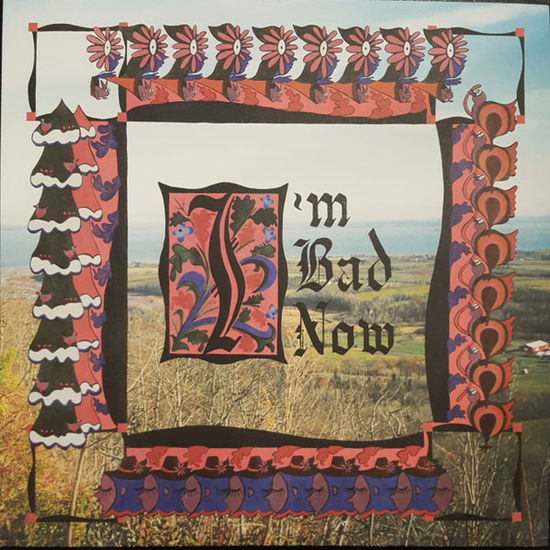 Cover for Nap Eyes · I'm Bad Now (LP) (2018)