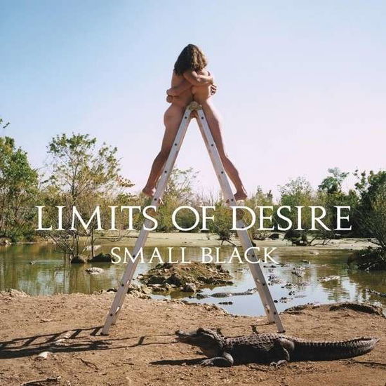 Limits Of Desire - Small Black - Musiikki - JAGJAGUWAR - 0656605220819 - torstai 9. toukokuuta 2013