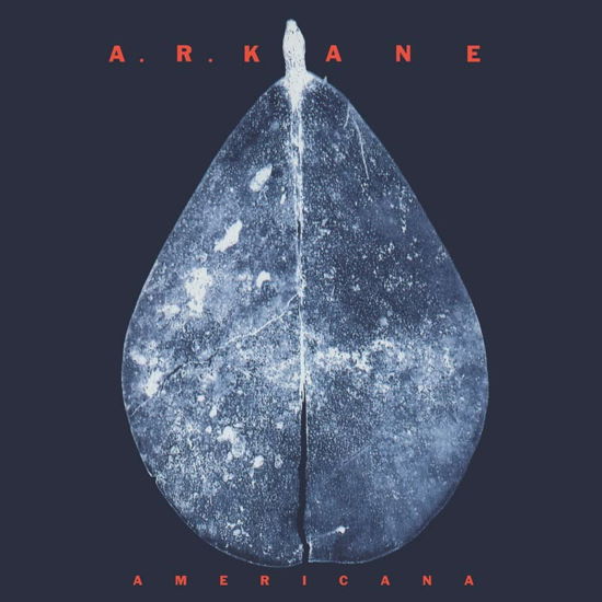 Cover for A. R. Kane · Americana (LP) (2022)