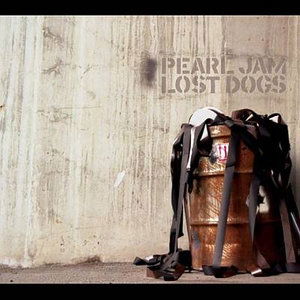 Lost Dogs (Rarities & B Sides) /ltd - Pearl Jam - Musik - EPIC - 0696998573819 - 19. januar 2004