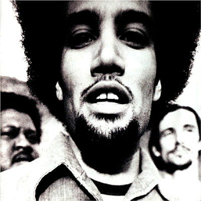 The Will to Live - Ben Harper - Musik - POP / ROCK - 0724384417819 - 24. februar 2009