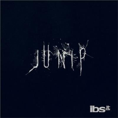 Cover for Junip (LP) (2021)