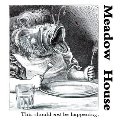 Cover for Meadow House · This Should Not Be Happening (LP) (2018)