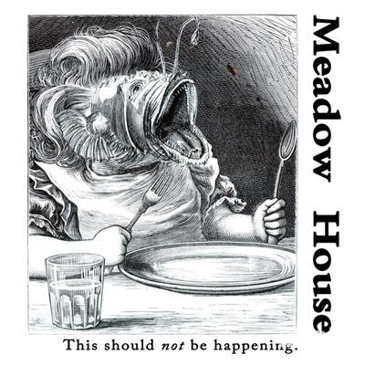 This Should Not Be Happening - Meadow House - Musikk - FEEDING TUBE RECORDS - 0752830263819 - 9. mars 2018