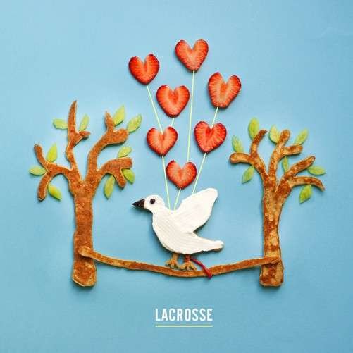 Cover for Lacrosse · Are You Thinking of Me Every Minute of Every Day (LP) (2014)