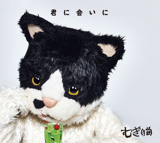 Cover for Mugi the Cat · Kimi Ni Ai Ni &lt;limited&gt; (CD) [Japan Import edition] (2019)