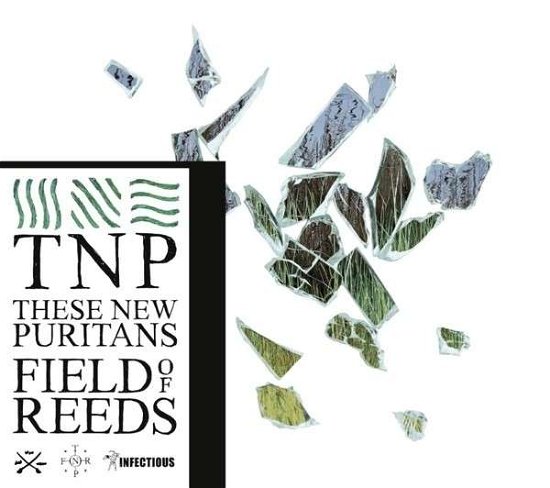 Field of Reeds - These New Puritans - Music - Infectious - 5050954299819 - March 3, 2020