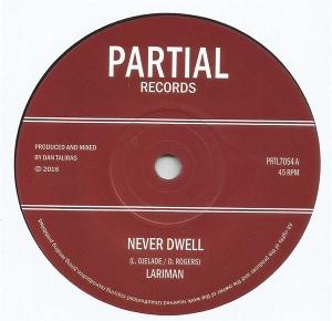 Cover for Lariman · Never Dwell (LP) (2018)