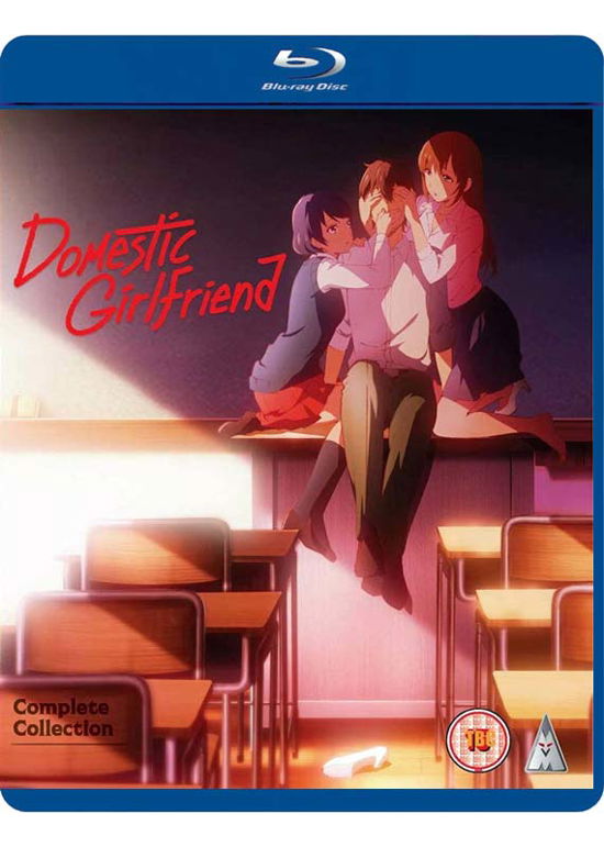 Domestic Girlfriend Collection - Fox - Filme - MVM Entertainment - 5060067008819 - 10. August 2020