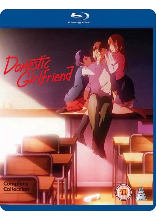 Cover for Fox · Domestic Girlfriend Collection (Blu-ray) (2020)