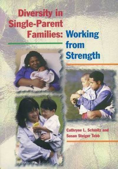 Cover for Schmitz · Diversity in Single-Parent Families: Working from Strength (Paperback Book) (1999)