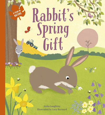 Cover for Anita Loughrey · Rabbit's Spring Gift - A Year In Nature (Paperback Book) (2020)