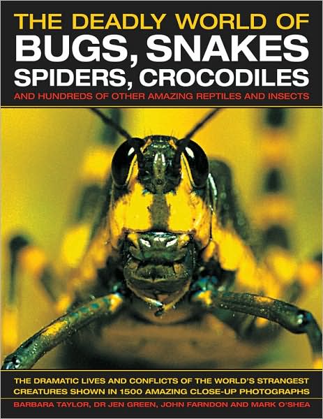 Cover for Barbara Taylor · The Deadly World of Bugs, Snakes, Spiders, Crocodiles and Hundreds of Other Amazing Reptiles and Insects: Discover the Amazing World of Reptiles and Bugs, Featuring More Than 1500 Fabulous Wildlife Photographs and Illustrations (Hardcover Book) (2008)