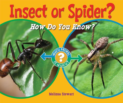 Cover for Melissa Stewart · Insect or Spider?: How Do You Know? (Which Animal is Which?) (Hardcover Book) (2011)