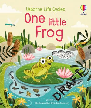 Cover for Lesley Sims · One Little Frog - Life Cycles (Board book) (2022)