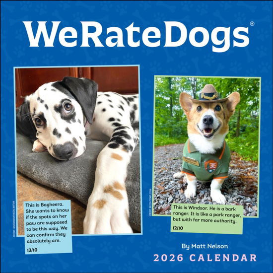 Cover for Matt Nelson · WeRateDogs 2026 Wall Calendar (Calendar) (2025)