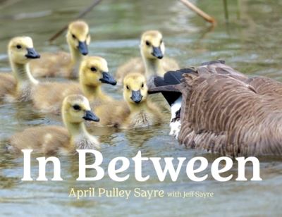 Cover for April Pulley Sayre · In Between (Hardcover Book) (2023)