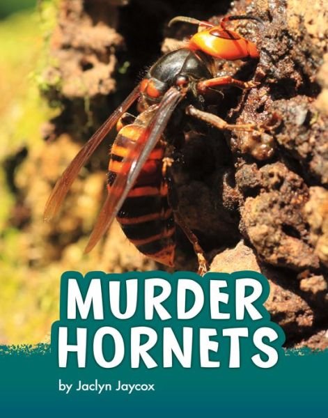 Cover for Jaclyn Jaycox · Murder Hornets (Paperback Book) (2022)