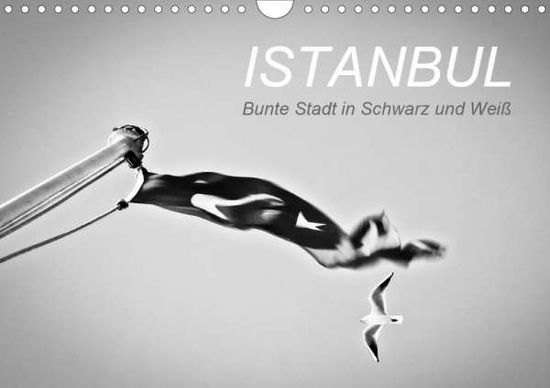 Cover for Reinecke · Istanbul - Bunte Stadt in Schw (Book)