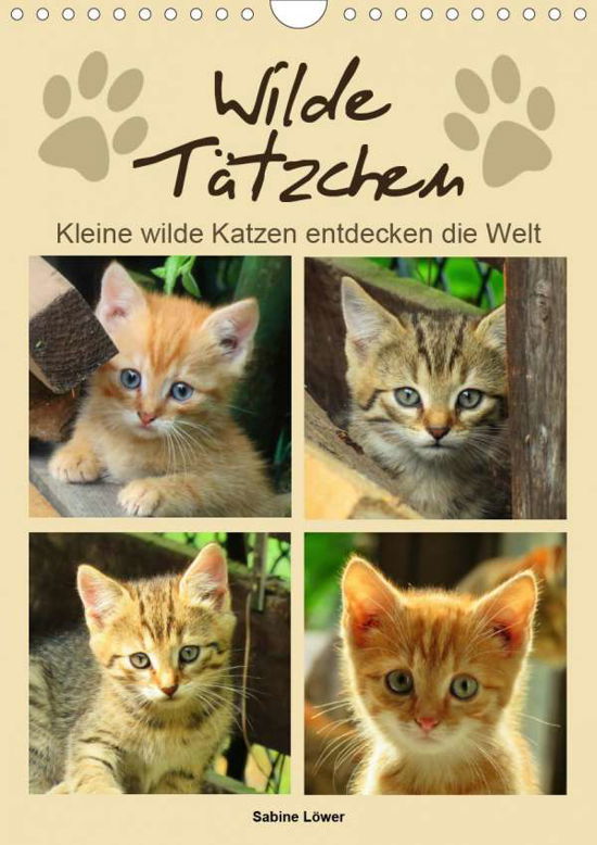 Cover for Löwer · Wilde Tätzchen - Kleine wilde Kat (Buch)