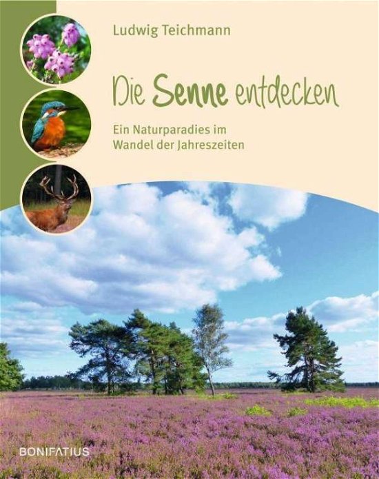 Cover for Teichmann · Die Senne entdecken (Book)