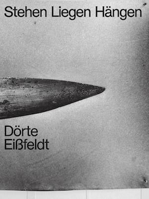 Cover for Dörte Eißfeldt · Stehen, Liegen, Hängen (Book) (2024)