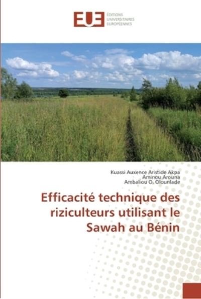 Cover for Akpa · Efficacité technique des riziculte (Bok) (2018)
