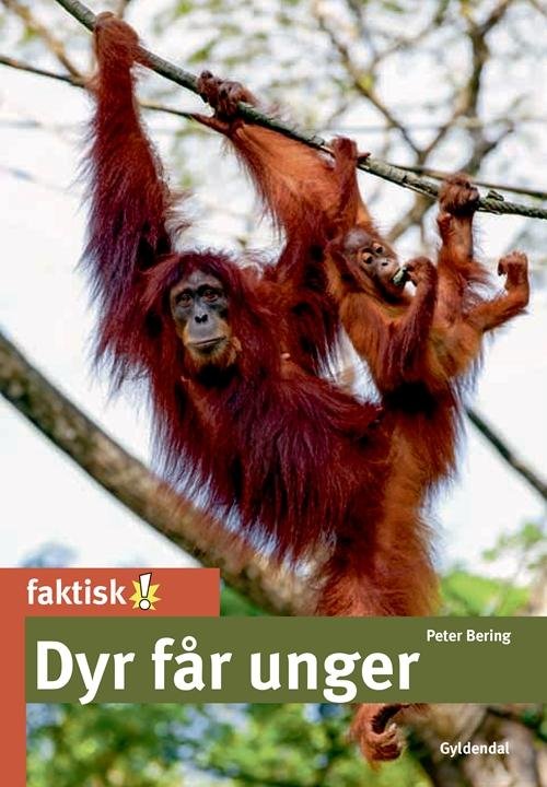 Cover for Peter Bering · Faktisk!: Dyr får unger (Poketbok) [1:a utgåva] (2015)