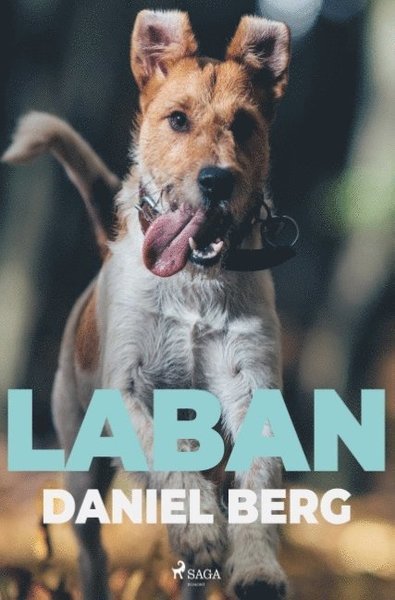 Cover for Daniel Berg · Laban (Bok) (2019)