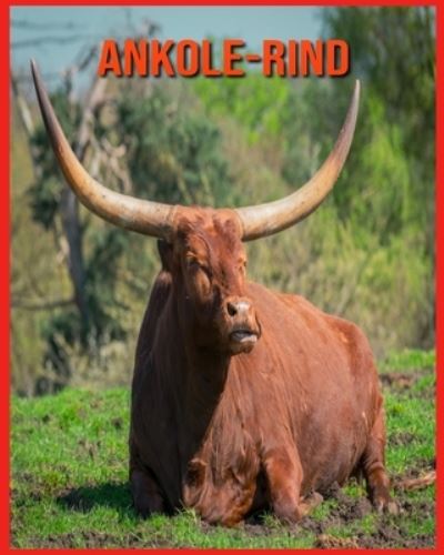 Cover for Linda Davis · Ankole-Rind (Paperback Book) (2021)