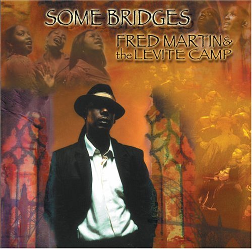 Some Bridges - Fred Martin - Musik - CONCORD - 0013431228820 - 19 september 2006