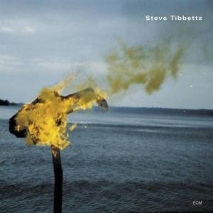 Cover for Steve Tibbetts · Man About a Horse (CD) (2002)