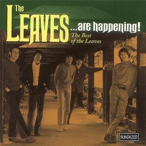 The Leaves...Are Happening! The Best of The Leaves - The Leaves - Musik - Sundazed Music, Inc. - 0090771105820 - 1. april 2017