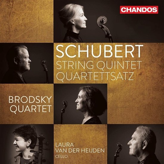 Cover for Brodsky Quartet · Franz Schubert: String Quintet / Quartettsatz (CD) (2022)