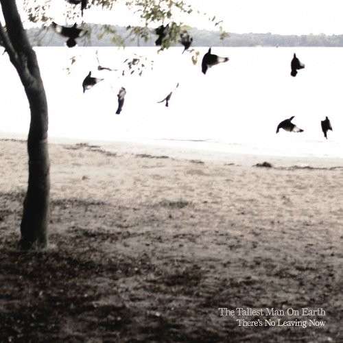 Cover for Tallest Man On Earth · There's No Leaving (CD) (2012)