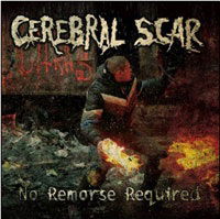 Cover for Cerebral Scar · No Remorse Required (CD) (2016)