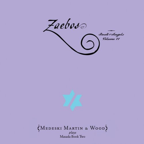 Cover for Medeski Martin · Zeabos:Book Of Angels 11 (CD) (2008)