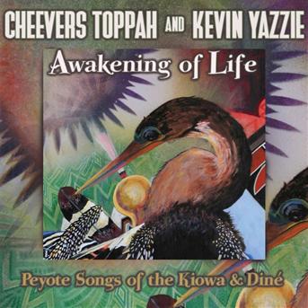 Awakening of Life - Toppah,cheevers / Yazzie,kevin - Muzyka - OUTSIDE/CANYON RECORDS - 0729337645820 - 19 maja 2009