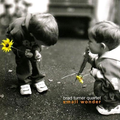 Cover for Brad Turner · Small Wonder (CD) (2007)