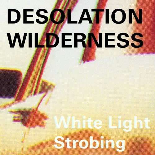 Cover for Desolation Wilderness · White Light Strobing (CD) (2022)