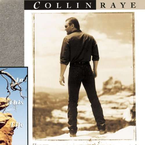 In This Life - Collin Raye - Muzyka - SBMK - 0886970156820 - 28 listopada 2006