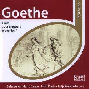 Goethe Faust, Der Tragodie Erster Tell - Horbuch (Esprit) - Musik - SONY - 0886974781820 - 