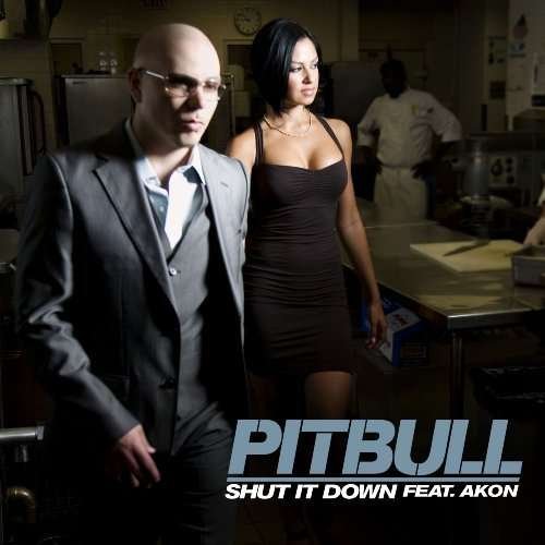 Shut It Down - Pitbull - Musik - J-RECORDS - 0886976550820 - 9. März 2010