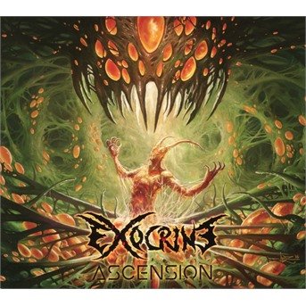 Cover for Exocrine · Ascension (CD) [Digipak] (2017)