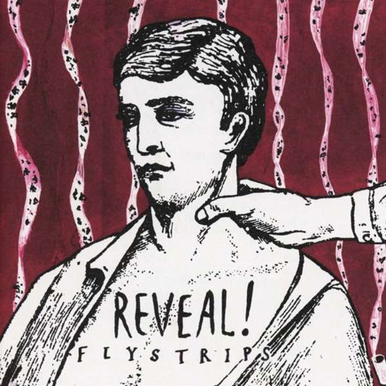 Cover for Reveal · Flystrips (CD) (2016)