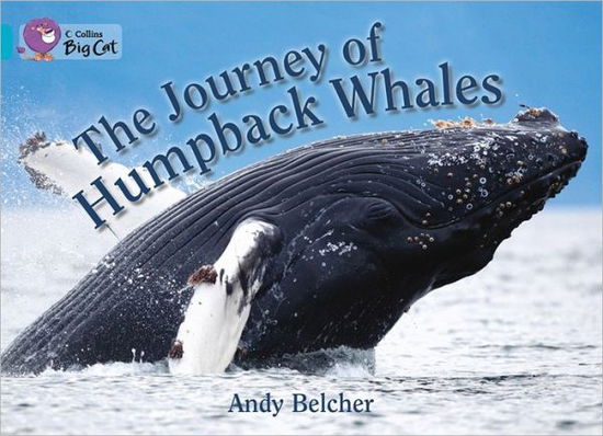 Cover for Andy Belcher · The Journey of Humpback Whales: Band 07/Turquoise - Collins Big Cat (Paperback Book) (2012)