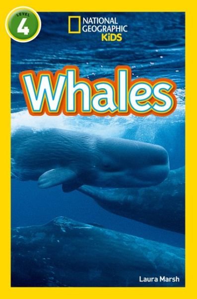 Cover for Laura Marsh · Whales: Level 4 - National Geographic Readers (Paperback Book) (2017)