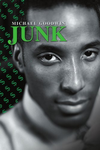 Cover for Michael Goodwin · Junk (Paperback Book) (2003)