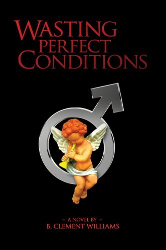 Cover for B Clement Williams · Wasting Perfect Conditions (Hardcover Book) (2007)
